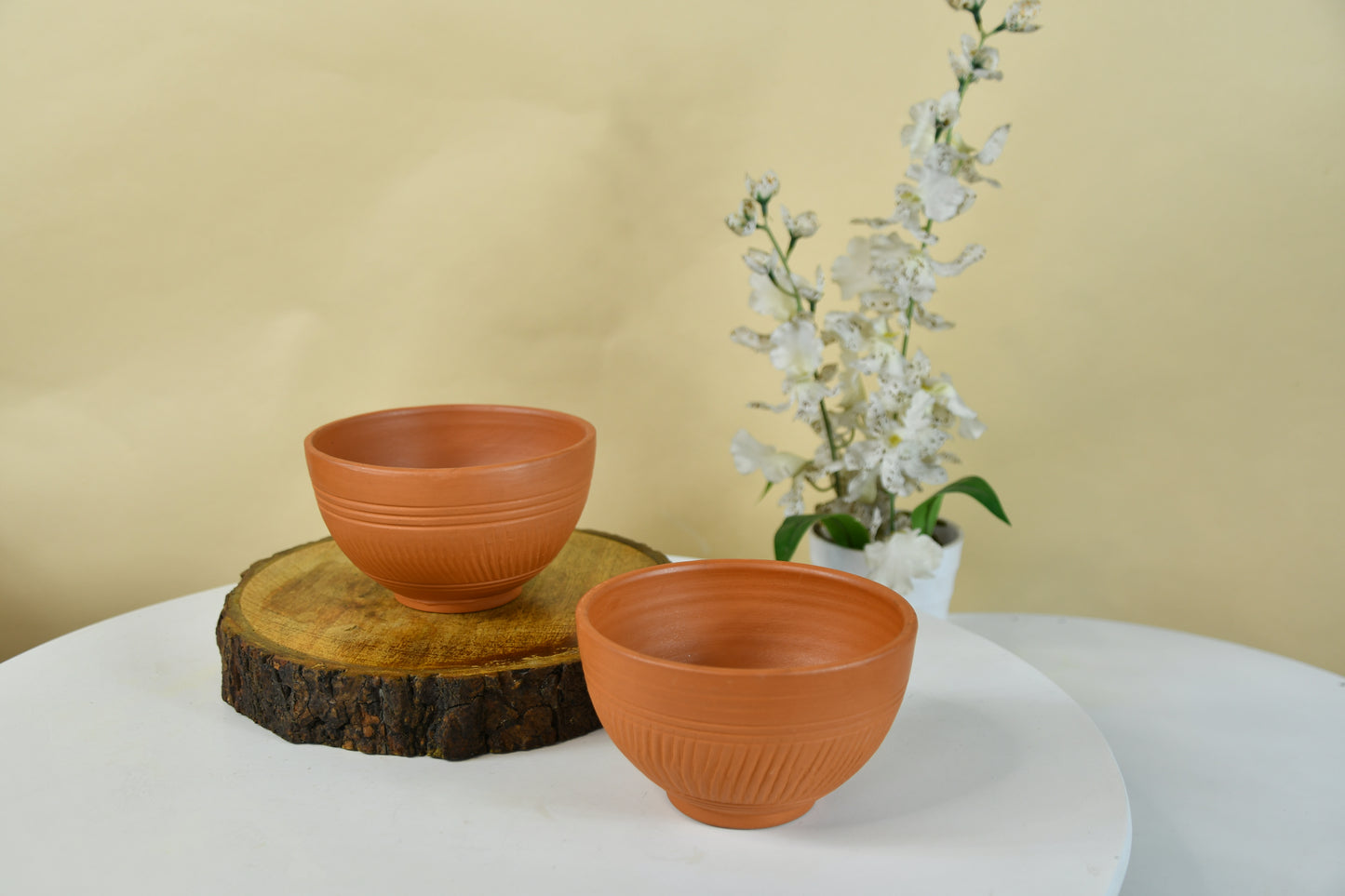 Terracotta Duo: Luxury Decor Bowls Set