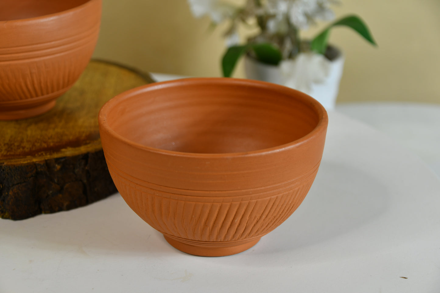 Terracotta Duo: Luxury Decor Bowls Set