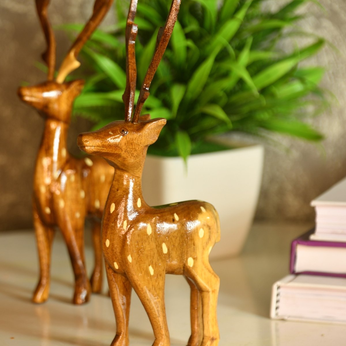 Dearest Little Deer --Sowpeace-Dearest Little Deer --Sowpeace-Dearest Little Deer-Wood/WDDD/WDN/TT-Sowpeace-Wood/WDDD/WDN/TT-Sowpeace