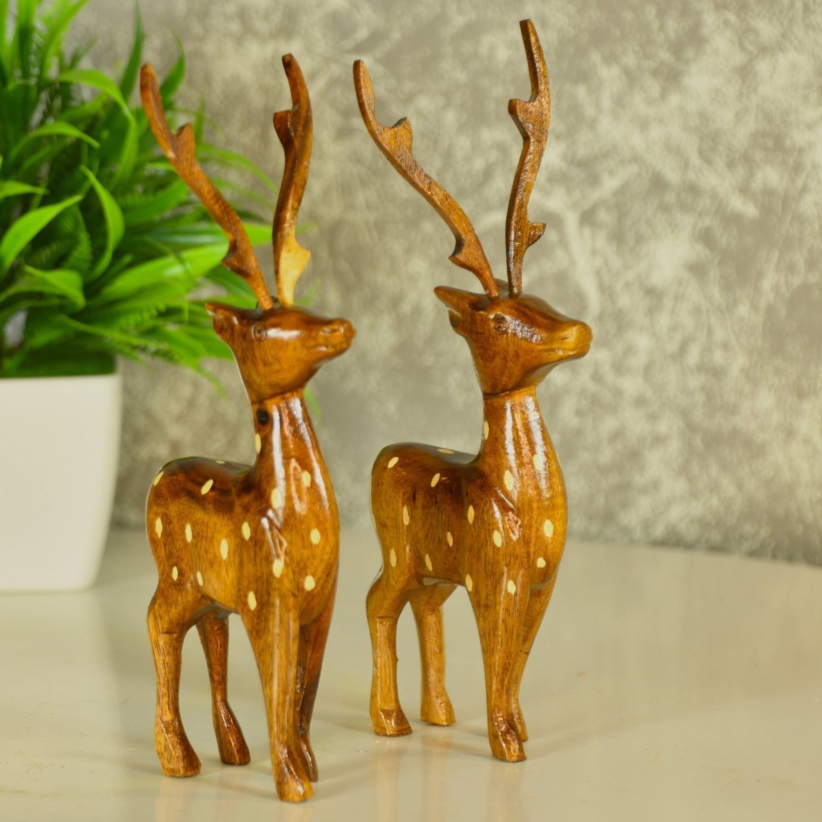 Dearest Little Deer --Sowpeace-Dearest Little Deer --Sowpeace-Dearest Little Deer-Wood/WDDD/WDN/TT-Sowpeace-Wood/WDDD/WDN/TT-Sowpeace