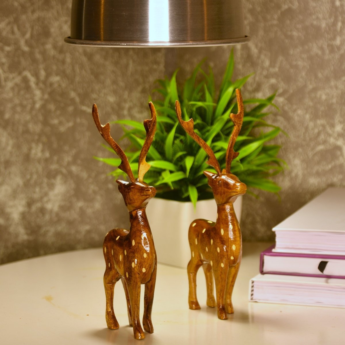 Dearest Little Deer --Sowpeace-Dearest Little Deer --Sowpeace-Dearest Little Deer-Wood/WDDD/WDN/TT-Sowpeace-Wood/WDDD/WDN/TT-Sowpeace