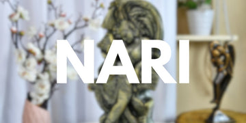 9 Forms of Shankari “Nari” – Chaitra Navratri Special - Sowpeace