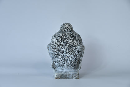 Meditating Buddha Head