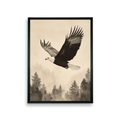 Chitran Eagle Soaring - Sowpeace - 