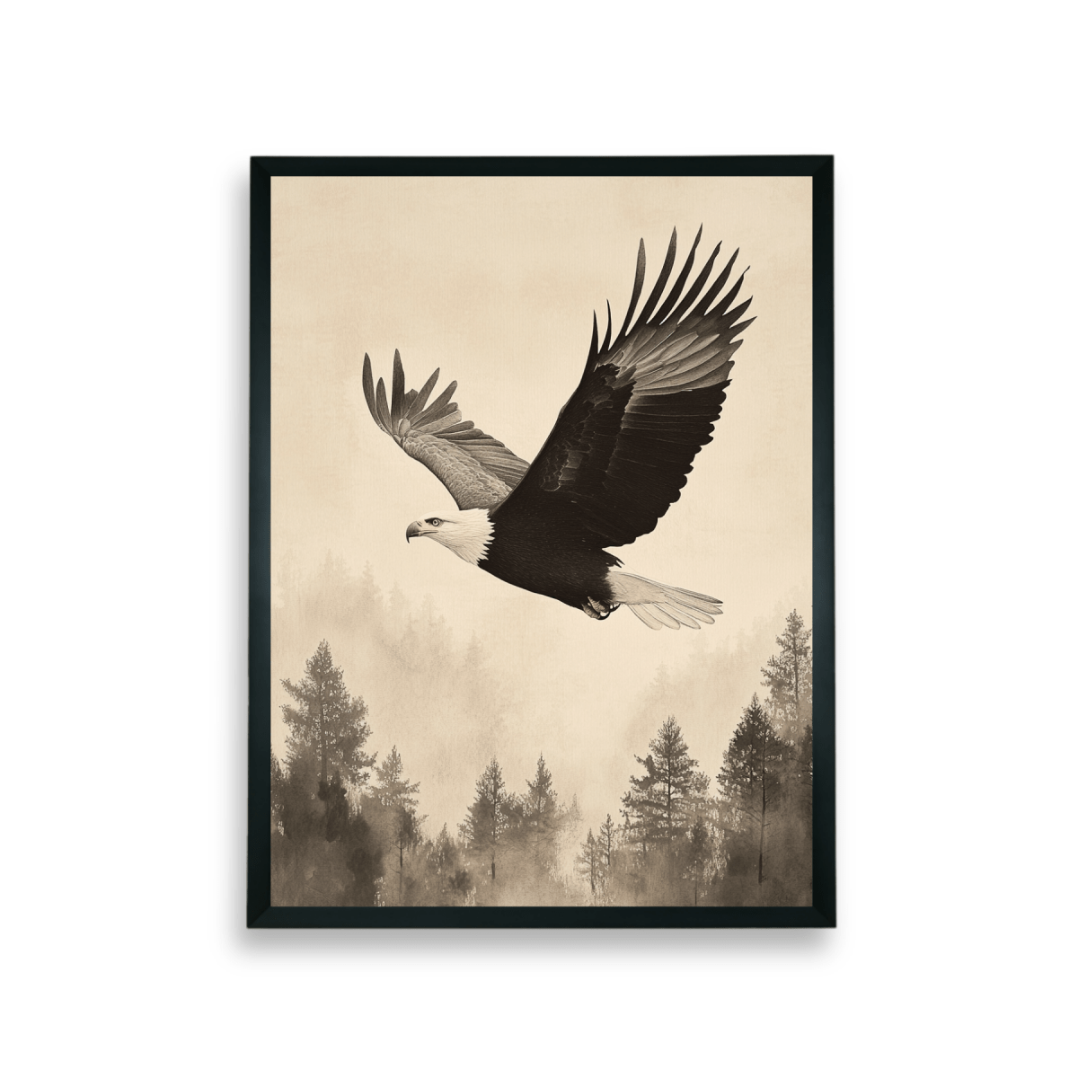 Chitran Eagle Soaring - Sowpeace - 