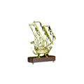Sowpeace Brass multi sail Ship - Brass - Sowpeace - 