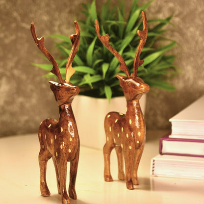 Dearest Little Deer --Sowpeace-Dearest Little Deer --Sowpeace-Dearest Little Deer-Wood/WDDD/WDN/TT-Sowpeace-Wood/WDDD/WDN/TT-Sowpeace