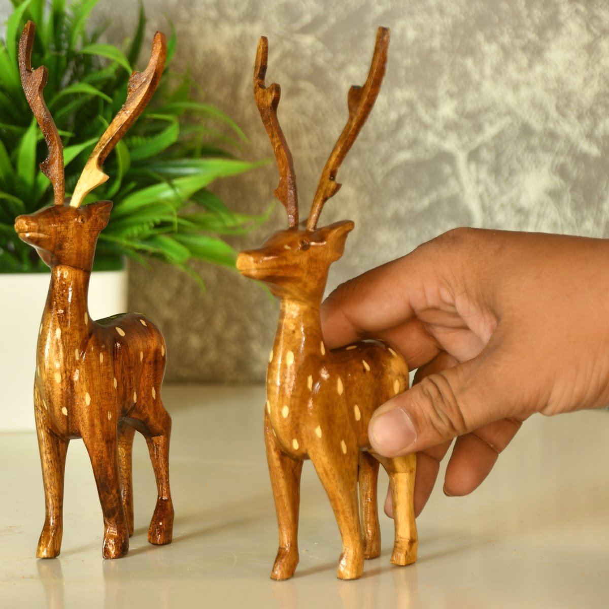 Dearest Little Deer --Sowpeace-Dearest Little Deer --Sowpeace-Dearest Little Deer-Wood/WDDD/WDN/TT-Sowpeace-Wood/WDDD/WDN/TT-Sowpeace