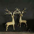 Unique Horned Brass Dhokra Deer Pair: Premium Decor -decor-Sowpeace-Unique Horned Brass Dhokra Deer Pair: Premium Decor -decor-Sowpeace-Unique Horned Brass Dhokra Deer Pair: Premium Decor-Dok-LMTD-TT-LDDS-Sowpeace-Dok-LMTD-TT-LDDS-Sowpeace